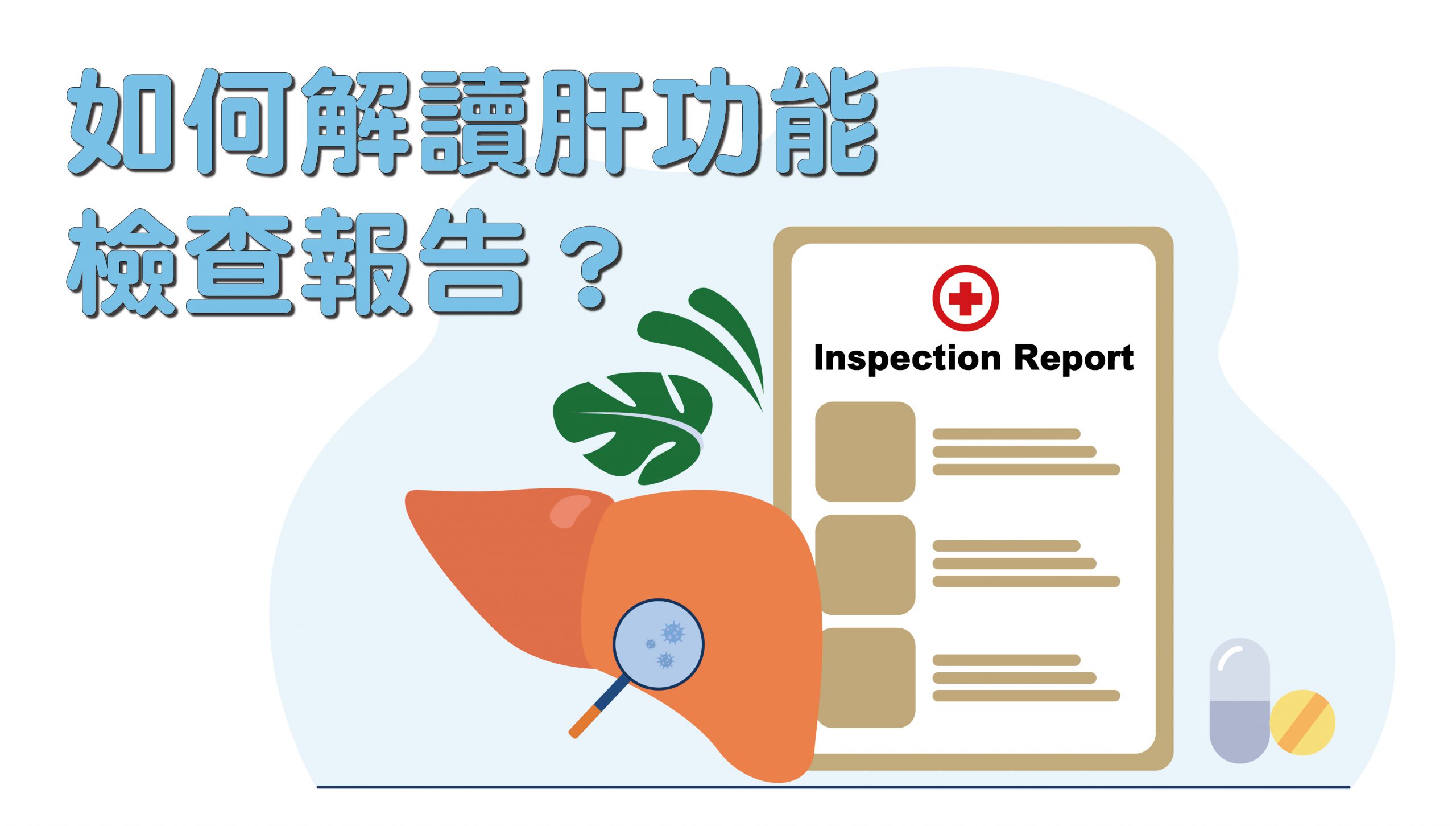 如何解讀肝功能檢查報告？ - 中華民國代謝症候群關懷協會